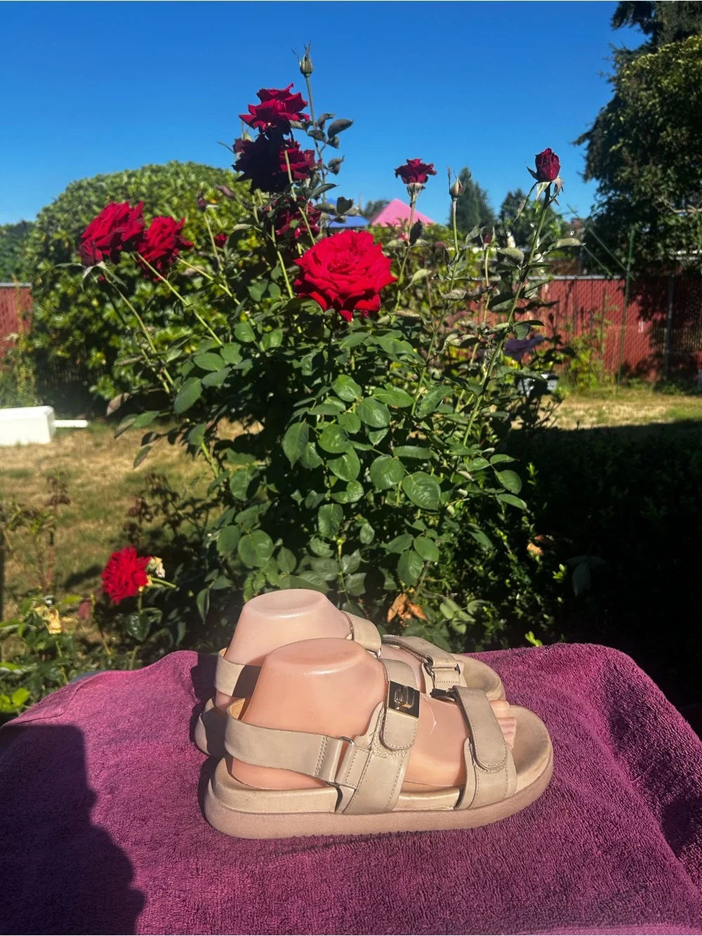 Dream Pairs Women’s Beige Slide Sandals with Buckle Straps Size 8.5